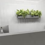 Courtyard Silver Chalk Polished 600x1200mm (1.433m2/box)